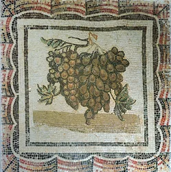 Bunch of white grapes, Roman mosaic